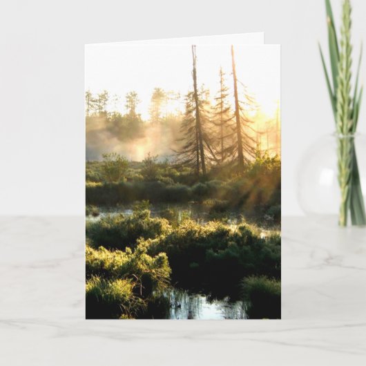Boomwatermoeras landschap kaart (Voorkant)