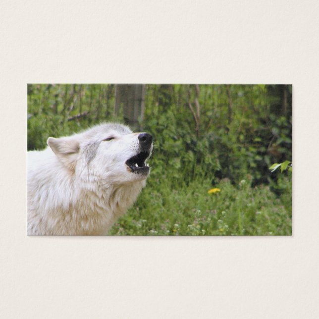 Boomwolf 3 visitekaartjes (Voorkant)