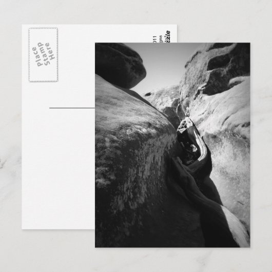 Boomwortel in Crevice Briefkaart (Voorkant / Achterkant)