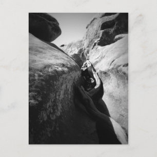 Boomwortel in Crevice Briefkaart