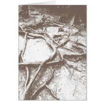 Boomwortels op Mt. Kurama