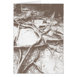 Boomwortels op Mt. Kurama