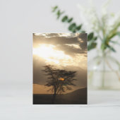 boomzonsondergang briefkaart (Staand voorkant)