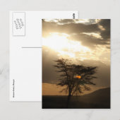 boomzonsondergang briefkaart (Voorkant / Achterkant)