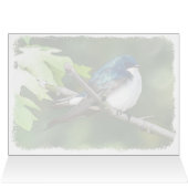 Boomzwaluw - 5" x 7" Art Kaart (Binnen Horizontaal (Boven))