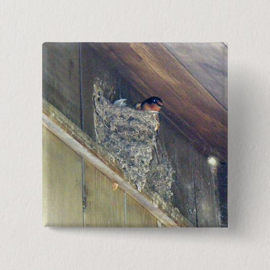 Boomzwaluw Serie Vierkante Button 5,1 Cm (Voorkant)