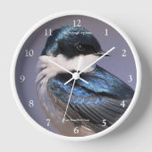 Boomzwaluw Zangvogel in Lentezonlicht (Voorkant)