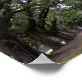 Boone Hall Avenue of Oaks in South Carolina Poster (Hoek)