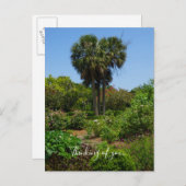 Boone Hall Garden denkend aan je Briefkaart (Voorkant / Achterkant)