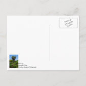 Boone Hall Garden denkend aan je Briefkaart (Achterkant)