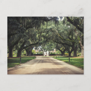 Boone Hall Oaks Briefkaart