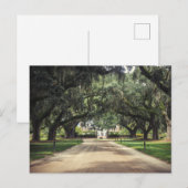 Boone Hall Oaks Briefkaart (Voorkant / Achterkant)