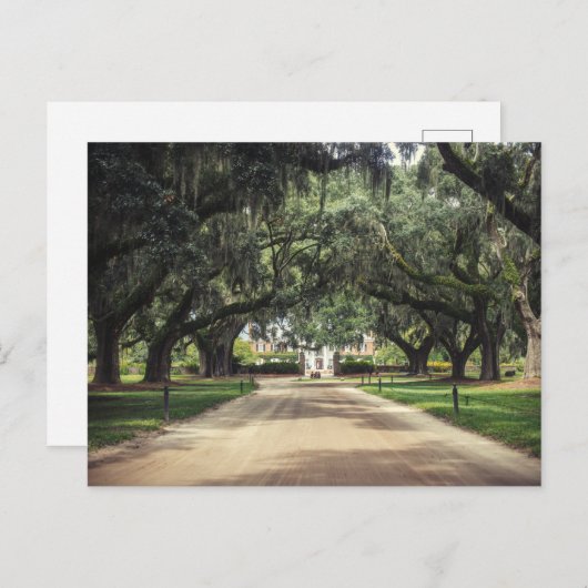 Boone Hall Oaks Briefkaart (Voorkant / Achterkant)