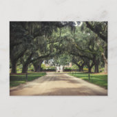 Boone Hall Oaks Briefkaart (Voorkant)