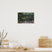 Boone Hall Plantation Laan van Eiken Poster (Keuken)