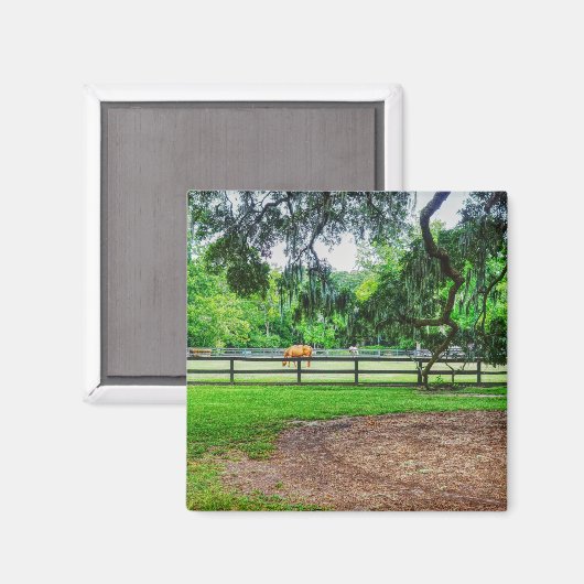 Boone Hall Stables Magneet (Voorkant / Achterkant)