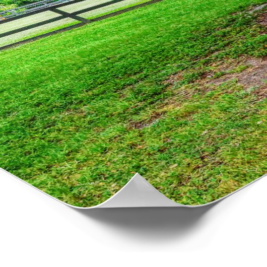 Boone Hall Stables Poster (Hoek)