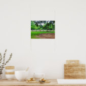 Boone Hall Stables Poster (Keuken)
