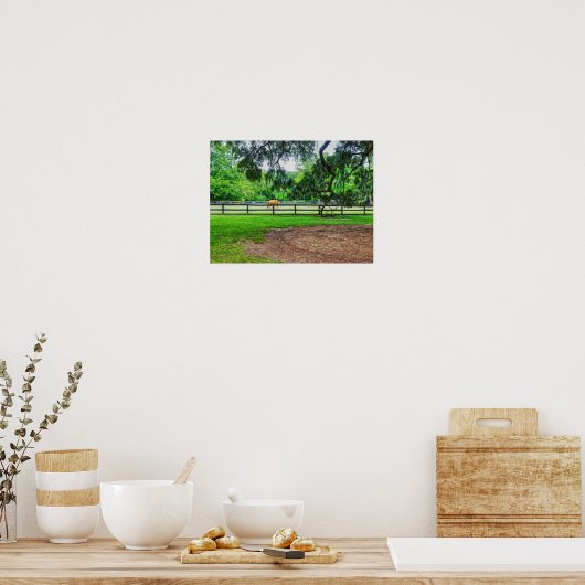 Boone Hall Stables Poster (Keuken)