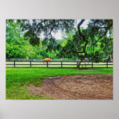 Boone Hall Stables Poster (Voorkant)