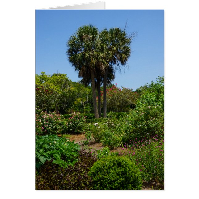 Boone Hall Tuin (Voorkant)