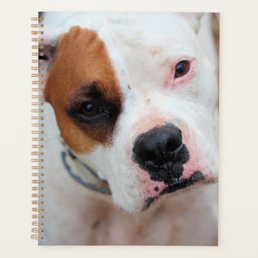 Boop 3 Ring Multomap Planner (Voorkant)