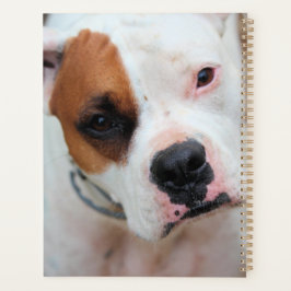 Boop 3 Ring Multomap Planner