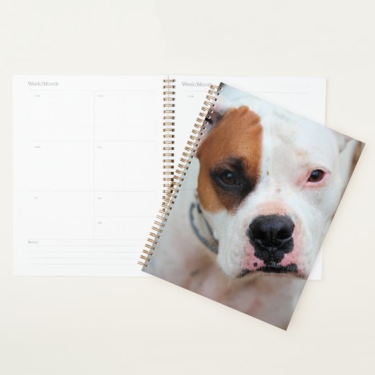 Boop 3 Ringband Planner (Display)