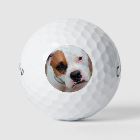 Boop[ Golf Ball Marker Golf Pet Clip Golfballen (Voorkant)