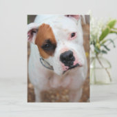 Boop Kaart (Staand voorkant)