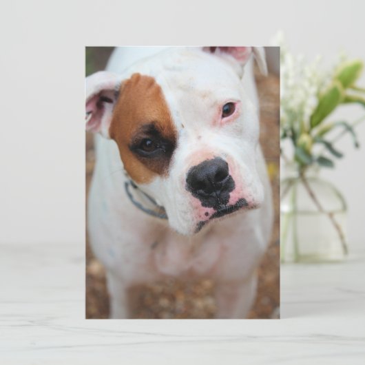 Boop Kaart (Staand voorkant)