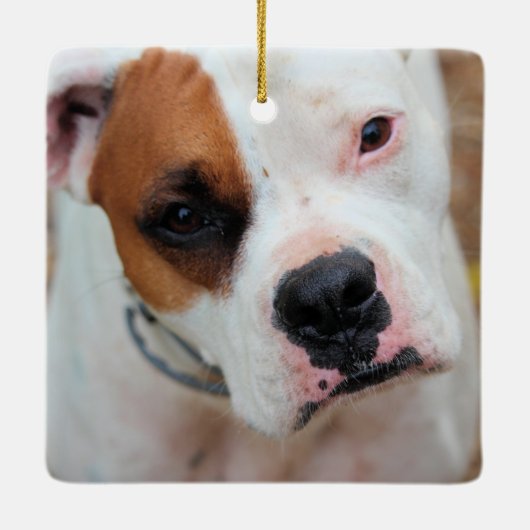 Boop Keramisch Ornament (Achterkant)