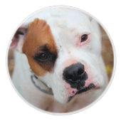 Boop Keramische Knop (Voorkant)