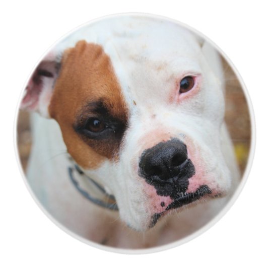 Boop Keramische Knop (Voorkant)