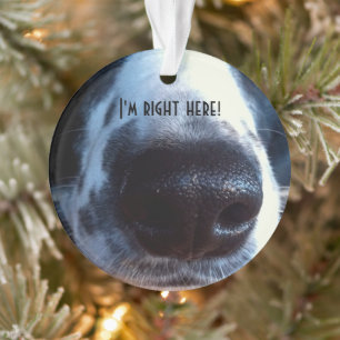 Boop Mijn Foto van de Redding van Border collie Ornament