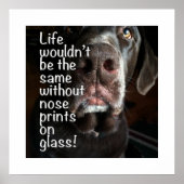 Boop Mijn Neus Chocolate Lab Close-Up Foto Poster (Voorkant)
