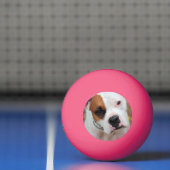 Boop Pingpongbal (Net)