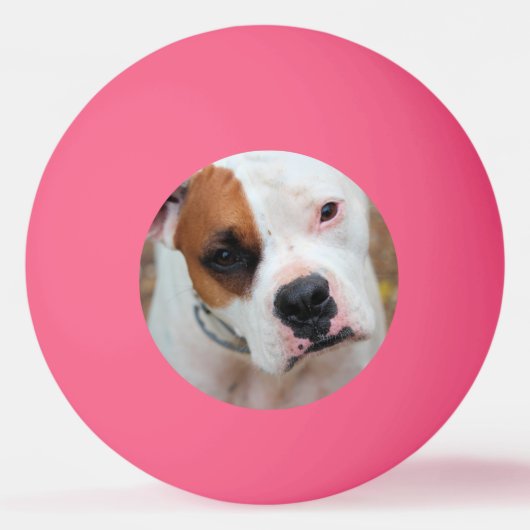 Boop Pingpongbal (Voorkant)