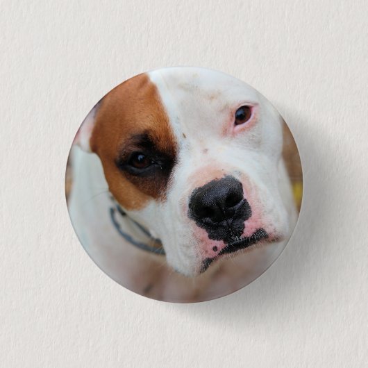 Boop Ronde Button 3,2 Cm (Voorkant)