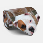 Boop Stropdas (Opgerold)