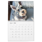 Boop! Super Owen de Schnauzer 2021-kalender Kalender (Mar 2026)