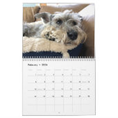 Boop! Super Owen de Schnauzer 2021-kalender Kalender (Feb 2026)