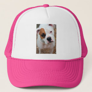 Boop Trucker Pet