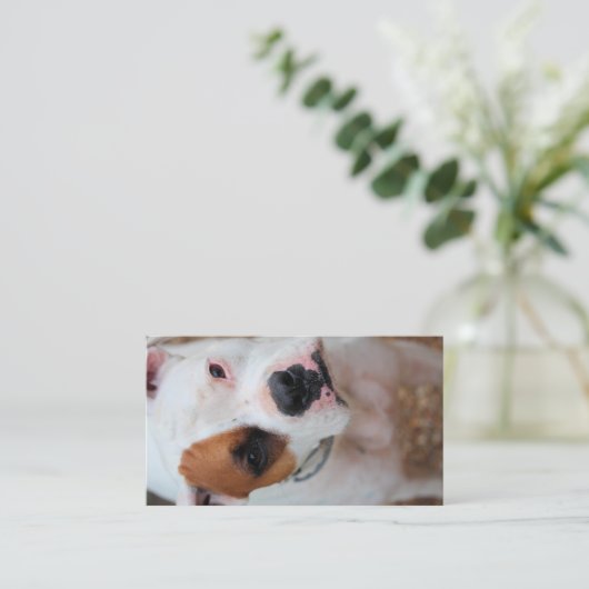 Boop Visitekaartje (Staand voorkant)