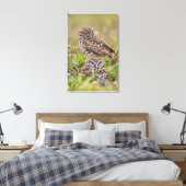 Boorboei, Athene cunicularia, Kaapkoraal; Canvas Afdruk (Insitu (Slaapkamer))