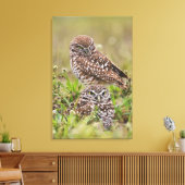 Boorboei, Athene cunicularia, Kaapkoraal; Canvas Afdruk (Insitu (Woonkamer))