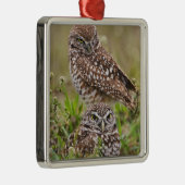 Boorboei, Athene cunicularia, Kaapkoraal; Metalen Ornament (Rechts)