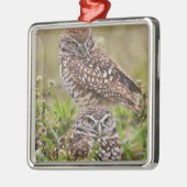 Boorboei, Athene cunicularia, Kaapkoraal; Metalen Ornament (Links)