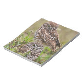 Boorboei, Athene cunicularia, Kaapkoraal; Notitieblok (Linkerzijde)