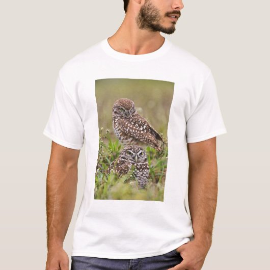Boorboei, Athene cunicularia, Kaapkoraal; T-shirt (Voorkant)
